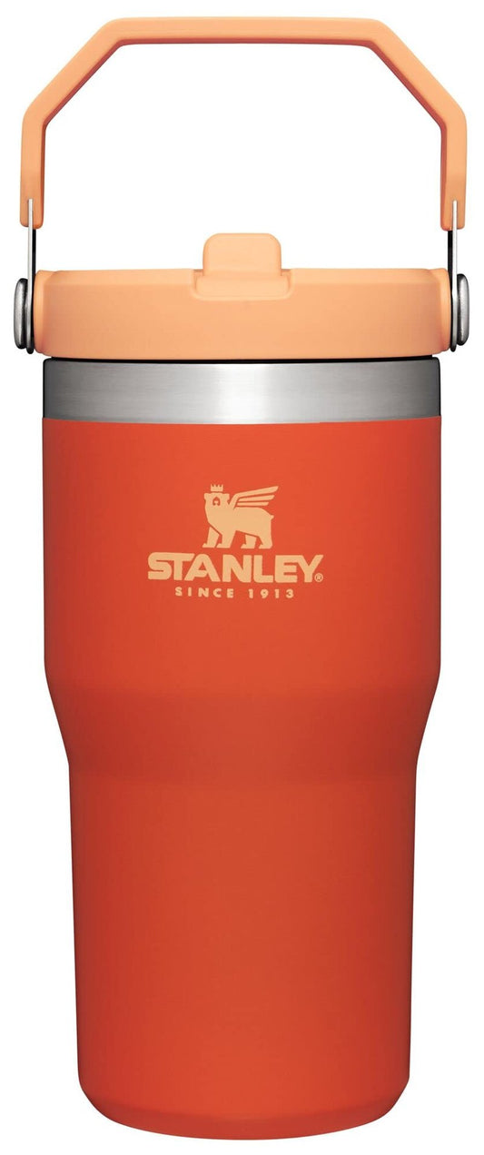 Stanley IceFlow Flip Straw Tumbler with Handle 20 oz | Twist On Lid and Flip Up Straw | Leak Resistant Water Bottle | Insulated Stainless Steel |BPA-Free | Tigerlily