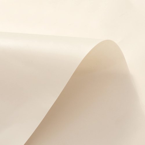 Barossa Design 54W x 78H Stall Shower Curtain Liner Beige - Waterproof Lightweight PEVA Plastic Shower Liner with 3 Magnets & Metal Grommets - Beige