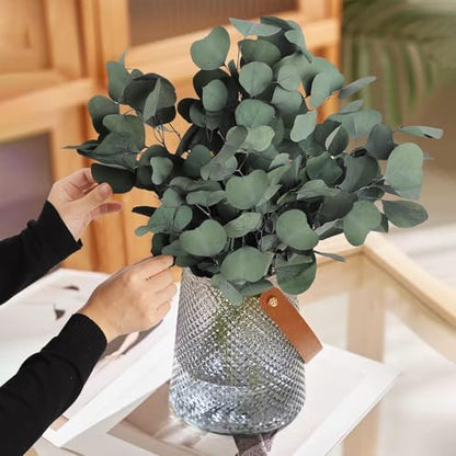 Preserved Eucalyptus Stems 20PCS - Silver Dollar Leaves for Wedding & Home Decor (Green Style 02)
