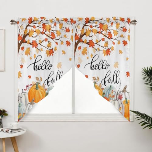 Pumpkin Fall Maple Leaves Swag Valance Curtains for Kitchen & Bedroom - 2 Panels 56W x 36L, Pumpkin04 Variation