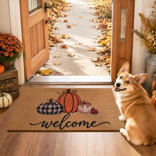 Fall Pumpkin Door Mat Welcome 17x29 Inches Non-Slip for Holiday & Thanksgiving