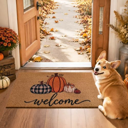 Fall Pumpkin Door Mat Welcome 17x29 Inches Non-Slip for Holiday & Thanksgiving
