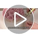 Golden Champagne Preserved Roses in Natural Yellow Travertine Vase - Gift Box