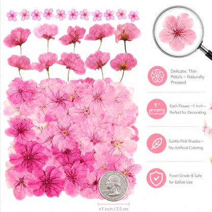 Edible Dried Flower Garnishes for Cakes Drinks & Crafts - 60 Pcs