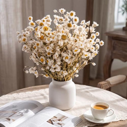 100 Pcs Dried Daisy Flowers Bouquet for Wedding Decor White - Natural & Lush