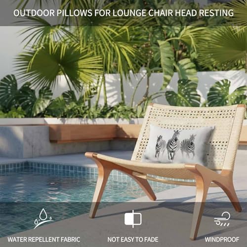 Outdoor Lumbar Pillow 12x20 Inch Black White Waterproof Throw Pillow Cover with Insert - Farmhouse Style, Supportive Headrest for Patio, Travel, Office, Car (Black, White, Ash Gray, Charcoal / Pack of 1)