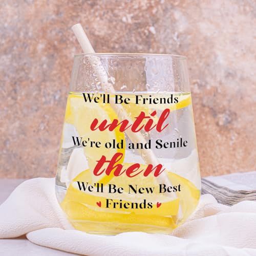 Funny Best Friends Wine Glass Gifts - We'll Be New Best Friends 15 OZ Stemless Glass for Women BFF Sister