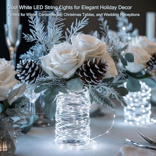 12 Pack LED Fairy Lights - 7ft Cool White String Lights for DIY Crafts & Decor
