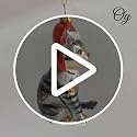 Adorable Tabby Cat with Santa Hat Glass Christmas Ornament - Seasonal Decor