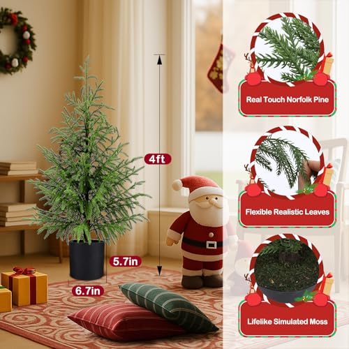 ENVEN 4FT Pre-Lit Norfolk Pine Christmas Tree with Real Touch Foliage - 80 LED Lights, 8 Modes, Potted Faux Tree - 1 Pack