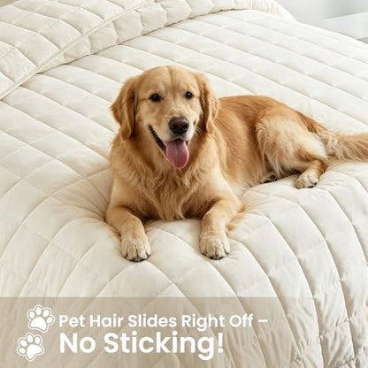 Cream Lightweight Queen Quilt Set for Hot Sleepers, Breathable & Pet Hair Resistant