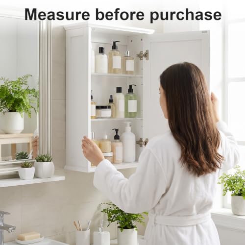 Acrylic Medicine Cabinet Shelves Set - 4 Pack Wall Storage Racks