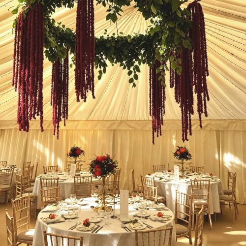 Artificial Hanging Moss Vines with Branches - Burgundy, Set of 2