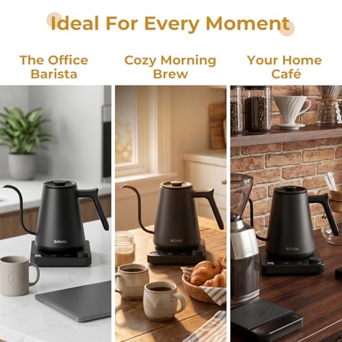 Electric Gooseneck Kettle with ±1°F Temp Control 27oz Rapid Heat Tea Coffee