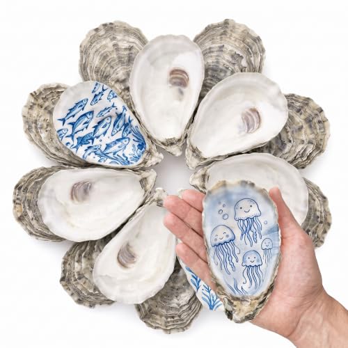 Large Concave Oyster Shells 4-5 Inches for Crafts - 30 Pieces