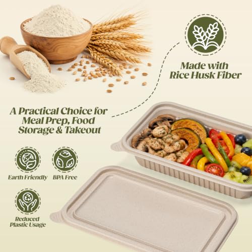 Glotoch 50 Pack 24oz Disposable Meal Prep Containers with Lids - Plant-Based, Leakproof, Microwave & Freezer Safe