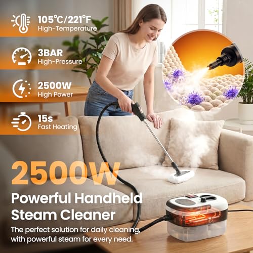 2500W Handheld Steam Cleaner for Home with 12 Accessories - Dark Grey