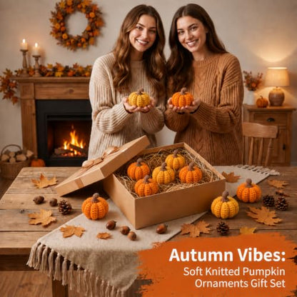 12 Pack Crochet Mini Pumpkins for Fall Thanksgiving Farmhouse Decor