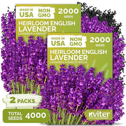 English Lavender Seeds Heirloom 2 Pack - Fragrant Herb for Garden & Aromatherapy