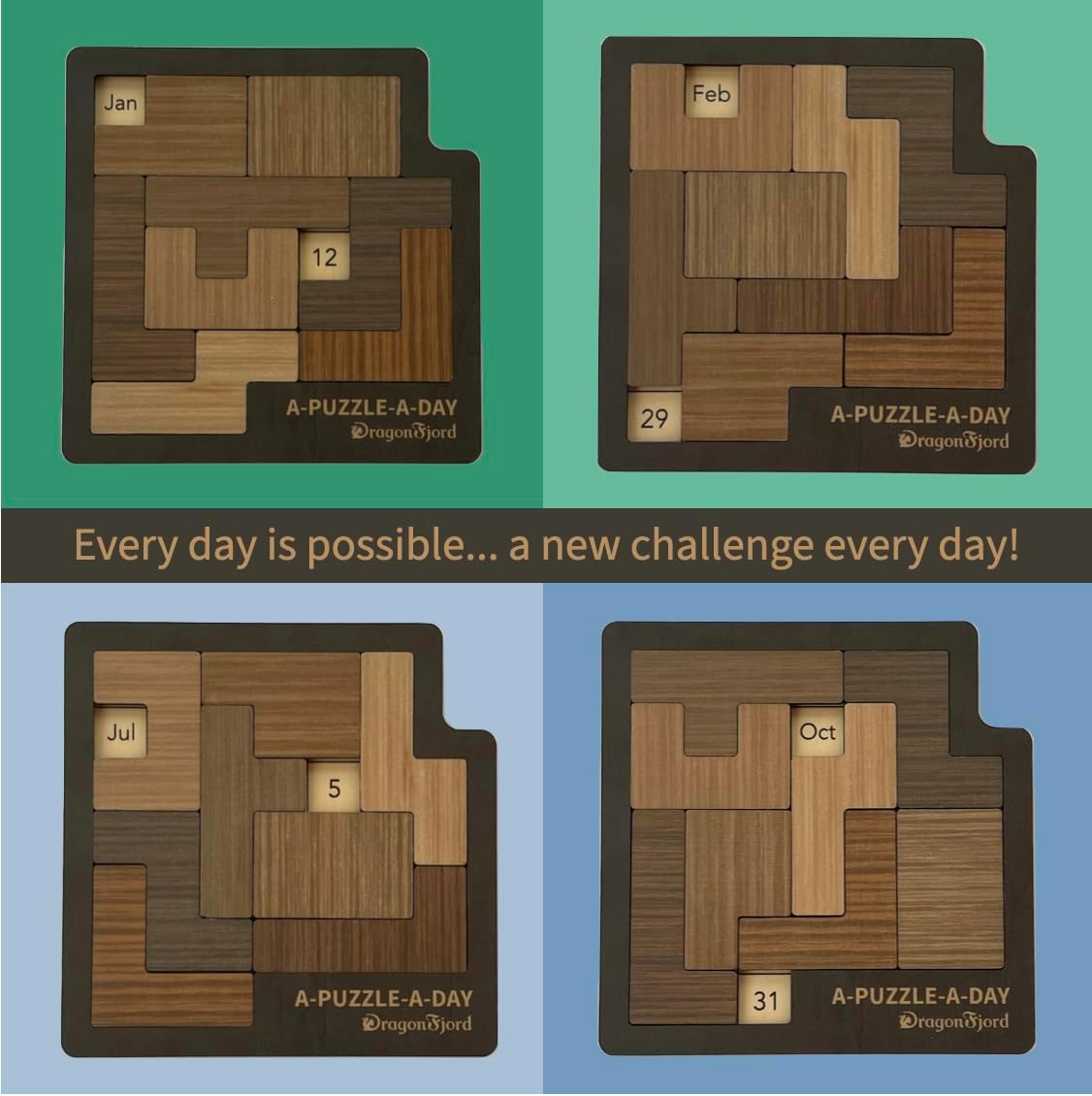 DragonFjord A-Puzzle-A-Day Premium Boxed Edition | 365+ Daily Challenges with Magnetic Storage & Hint Book