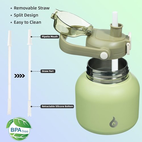 BJPKPK Insulated Water Bottle - 20 oz BPA-Free Stainless Steel Flask with Straw & Handle | Light Green