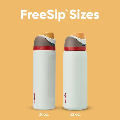Owala FreeSip Insulated Stainless Steel Water Bottle with Straw for Sports, Travel, and School BPA-Free Sports Water Bottle, 32 oz, Boneyard (Pack of 6)