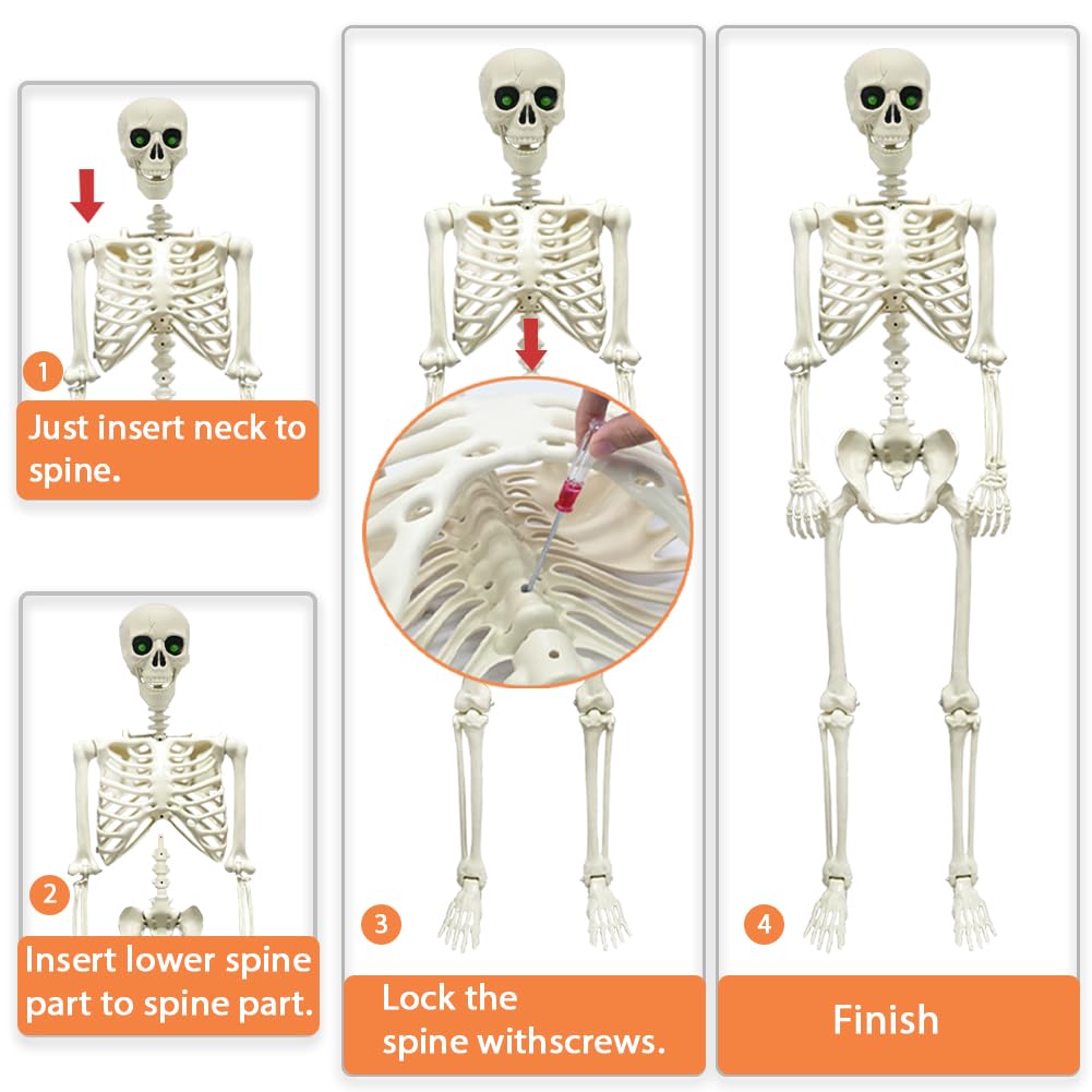 5.4FT Full Size Halloween Skeleton, Life Size Posable Skeleton with Glowing Eyes Scary Sound, Plastic Skeleton with Movable Joints for Halloween Decoration