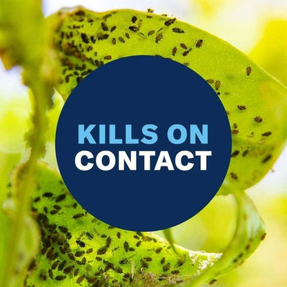 BioAdvanced Houseplant Insect & Mite Control - 24 oz Ready-to-Use Spray for Fungus Gnats & Fungal Diseases