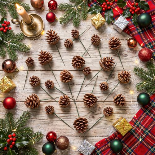 24 Pcs Natural Pine Cones for Christmas Decorations with Wired Picks