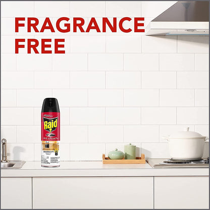 Raid Ant and Roach Killer - Fragrance-Free Formula | 17.5 Ounce (Pack of 4)