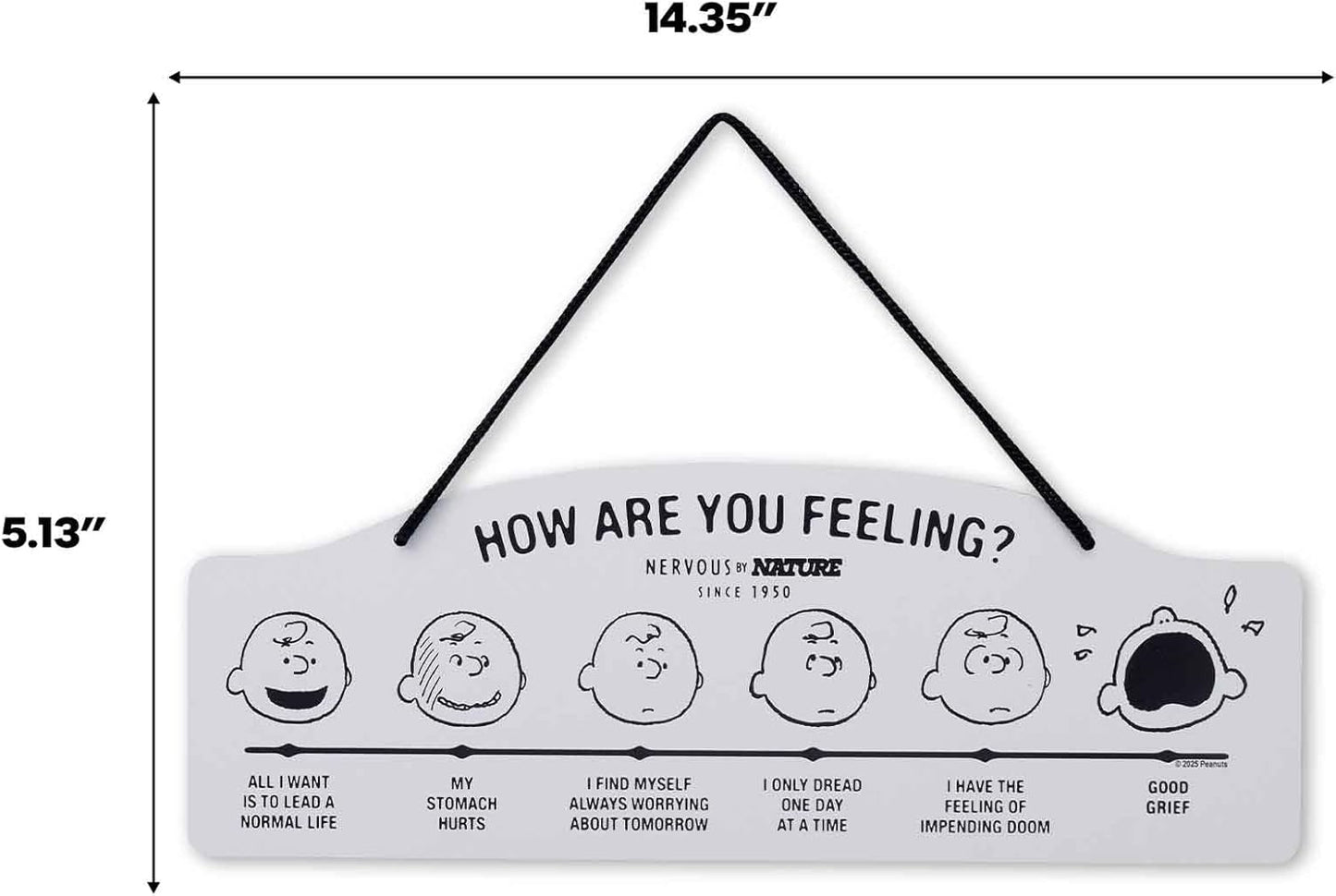Peanuts How Are You Feeling Hanging Metal Sign - Humorous Wall Decor for Home - Perfect Gift Idea