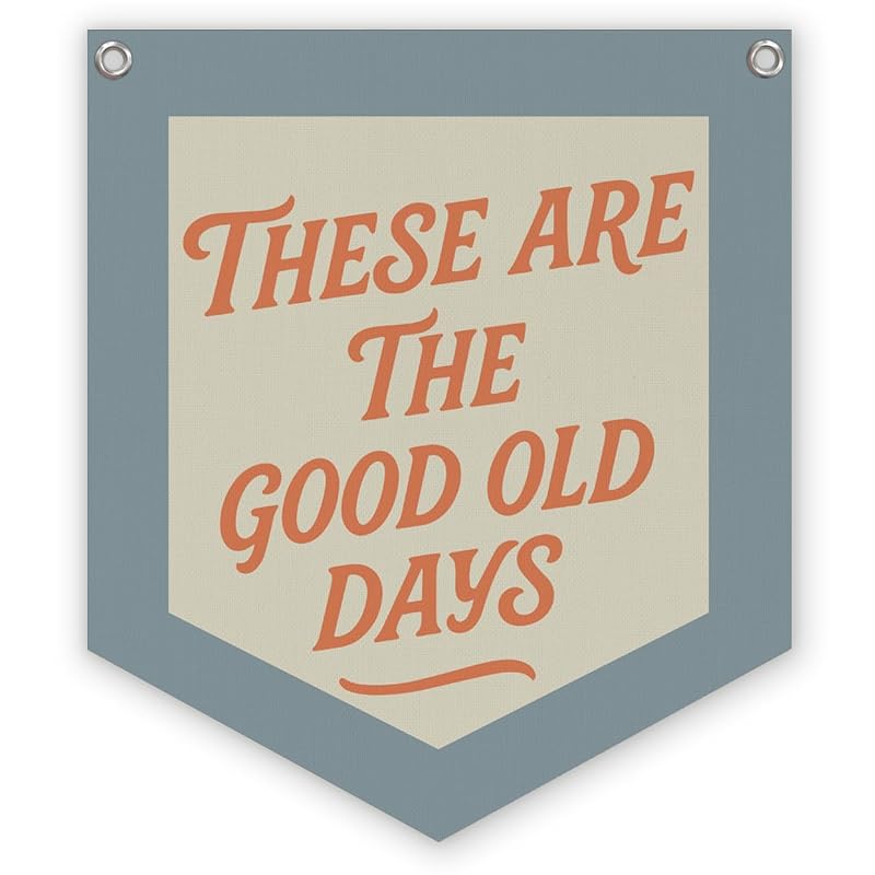 These Are The Good Old Days Office Wall Decor Pennant Flag 12x14 in - Variation: kidroom-06