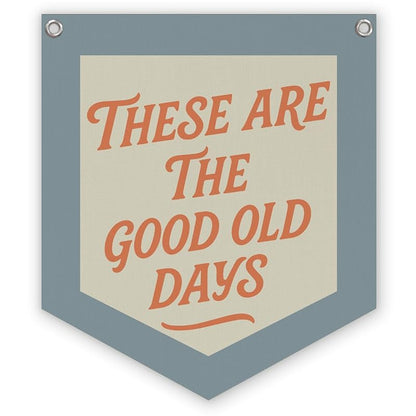 These Are The Good Old Days Office Wall Decor Pennant Flag 12x14 in - Variation: kidroom-06