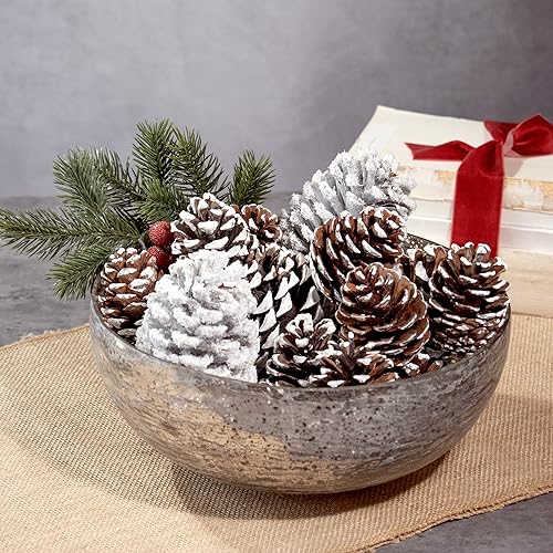 ANDALUCA Frosted Pinecone Vase Fillers - Scented Holiday Decor, 1 Bag
