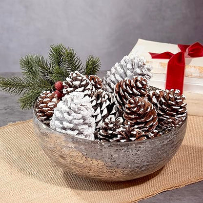 ANDALUCA Frosted Pinecone Vase Fillers - Scented Holiday Decor, 1 Bag