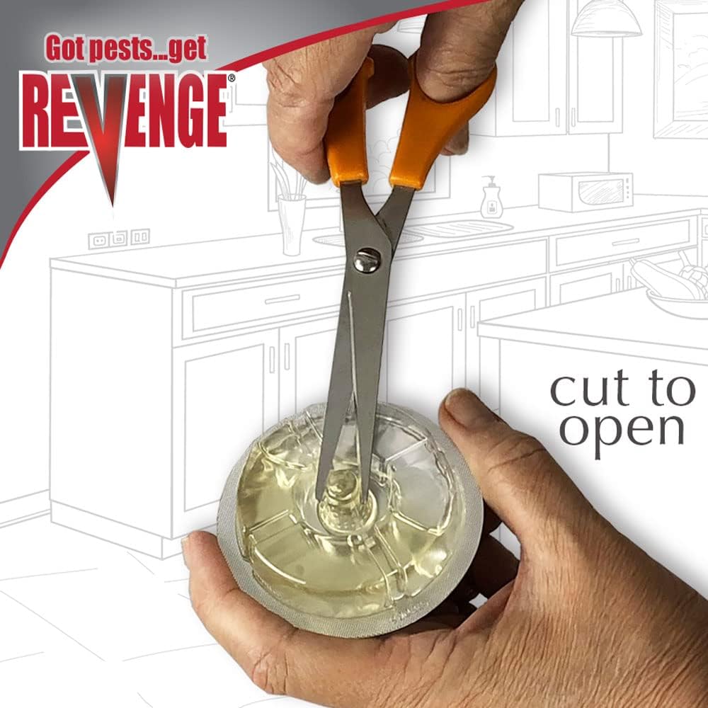 REVENGE Liquid Ant Bait Stations - Pack of 3, Ready-to-Use for Indoor & Outdoor Ant Control