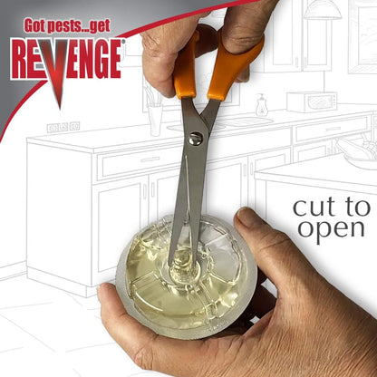 REVENGE Liquid Ant Bait Stations - Pack of 3, Ready-to-Use for Indoor & Outdoor Ant Control