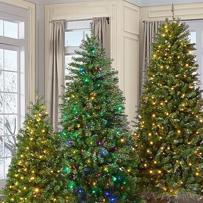 100FT 300 LED Color Changing Christmas Lights with Remote - Waterproof Indoor Outdoor String Lights - 2 in 1 Warm White & Multi-Color, 11 Modes