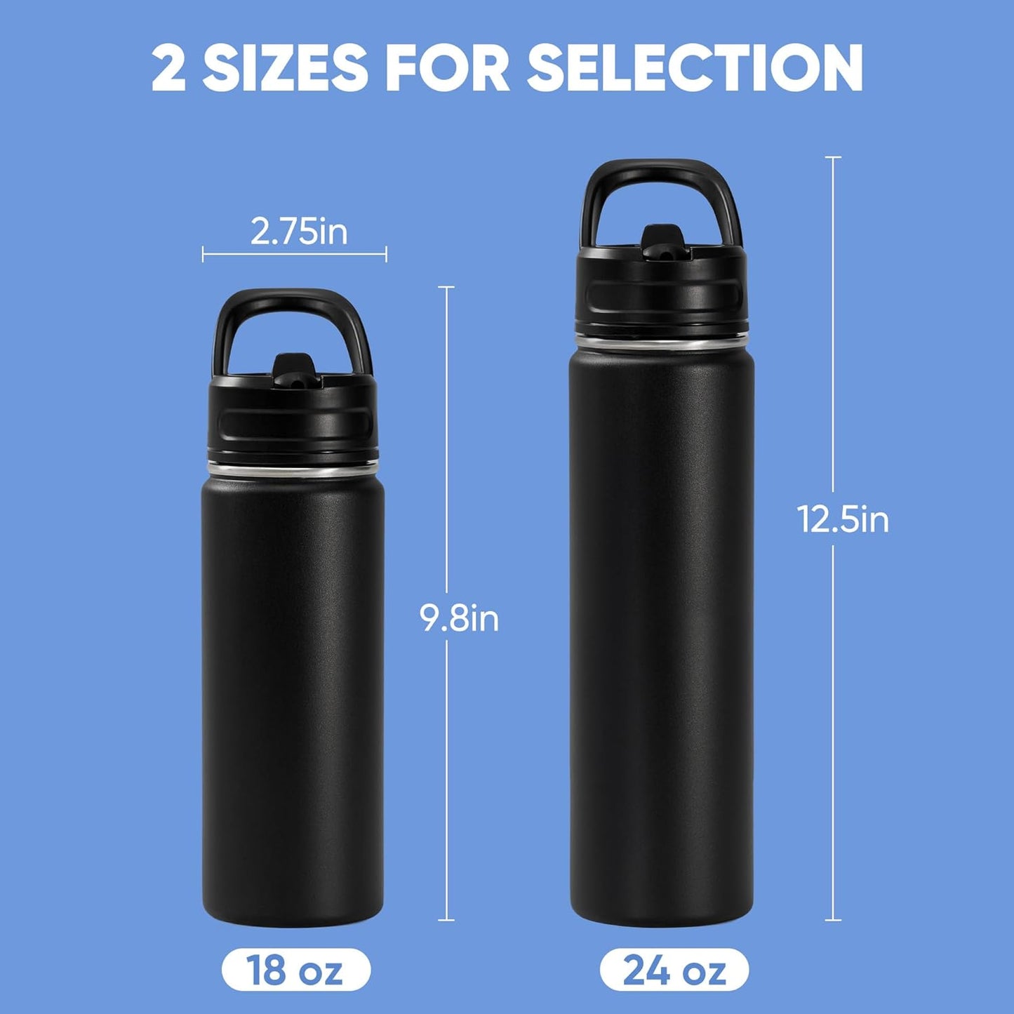 Skiennix 18oz Insulated Stainless Steel Water Bottle - Double Wall Vacuum, Leak-Proof, BPA Free, Black
