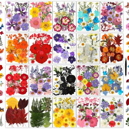 Multi-Color 800 PCS Dried Pressed Flowers for Resin Crafts and DIY Projects