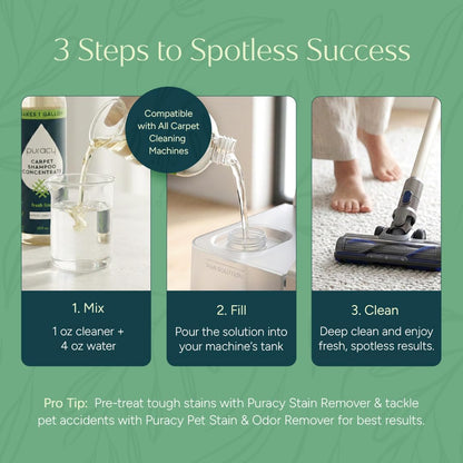Puracy Carpet Shampoo - Pet Stain & Odor Remover Solution | Concentrated Fresh Citrus (25oz)