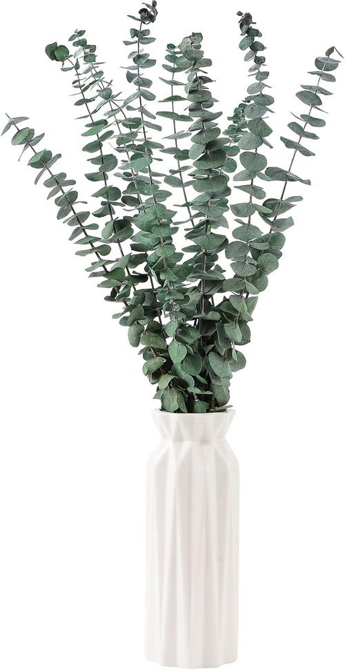 Eucalyptus | 10 Pcs Dried Eucalyptus Stems - 17" Real Fresh Leaves for Home & Wedding Decor