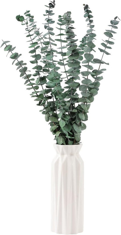 Eucalyptus | 10 Pcs Dried Eucalyptus Stems - 17" Real Fresh Leaves for Home & Wedding Decor
