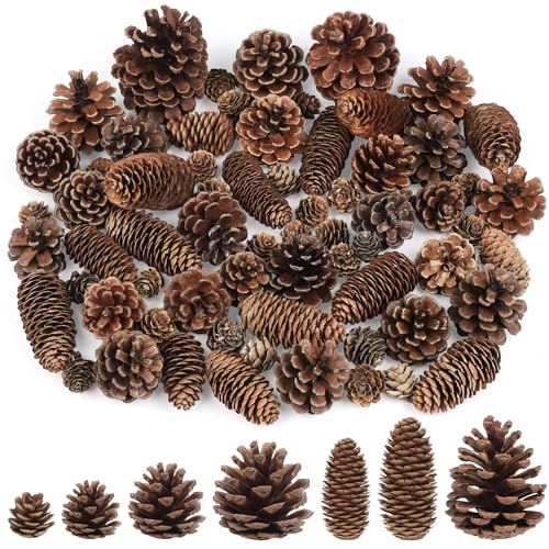 Natural Pine Cone Decorations for Christmas & Autumn - 65 pcs Bulk Set