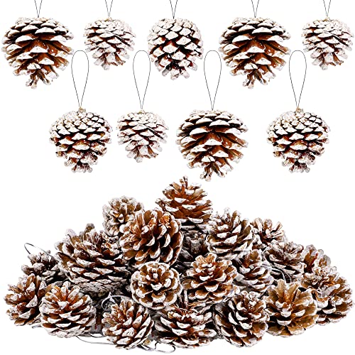 White Christmas Pine Cones Decor Set - 30 Pieces Rustic Holiday Ornaments