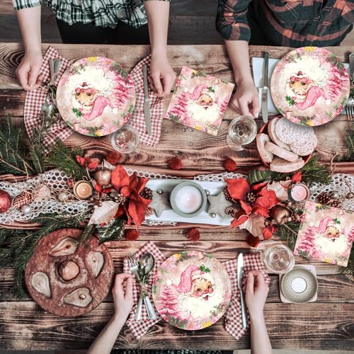 Christmas Party Set 20 Pcs Pink Holiday Plates & Napkins - Merry Christmas Theme, Winter Decor, Disposable Tableware - Variation: Christmas Party Set-1