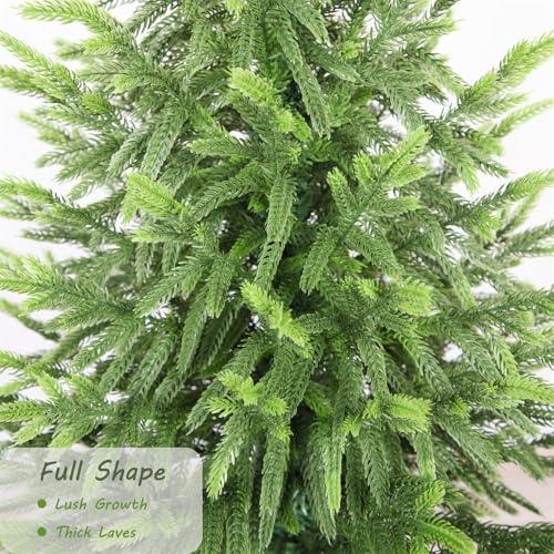 2 Pack 5ft Artificial Norfolk Pine Christmas Tree for Indoor Outdoor Decor - Real Touch Faux Tree with Black Pot