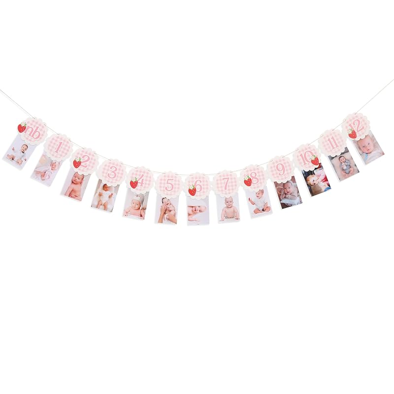 Strawberry Gingham 13-Card Milestone Photo Banner - 0-12 Months, Strawberry-3