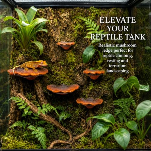 Resin Floating Mushroom Shelves Set - Rustic Wall Decor & Small Storage