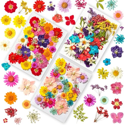 Dried Pressed Flowers Kit for Resin Crafts - Multicolored, 100+ Flowers & Leaves